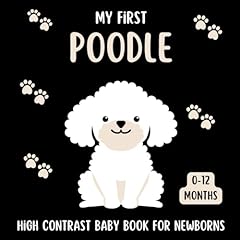 First poodle high for sale  Delivered anywhere in USA 
