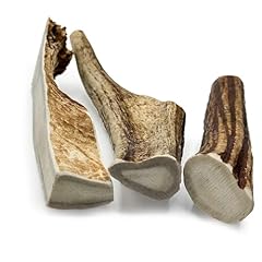 Wild antler large for sale  Delivered anywhere in UK