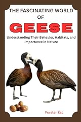 Fascinating geese understandin for sale  Delivered anywhere in UK
