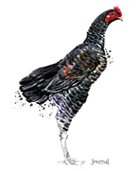 Journal shamo hen for sale  Delivered anywhere in UK