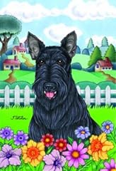 Best breed scottie for sale  Delivered anywhere in USA 