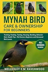 Mynah bird training for sale  Delivered anywhere in UK
