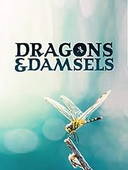 Dragons damsels for sale  Delivered anywhere in USA 