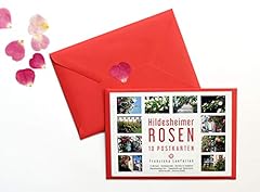 Postkarten set hildesheimer gebraucht kaufen  Wird an jeden Ort in Deutschland