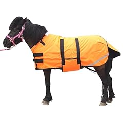 Gallopoff foal mini for sale  Delivered anywhere in USA 