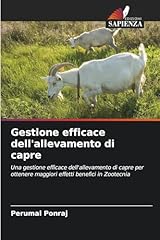Gestione efficace dell usato  Spedito ovunque in Italia 