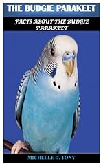 Budgie parakeet facts for sale  Delivered anywhere in UK