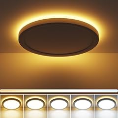 Zemty 24w deckenlampe gebraucht kaufen  Wird an jeden Ort in Deutschland