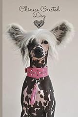 Chinese crested dog for sale  Delivered anywhere in UK