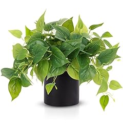 Jpsor faux plants for sale  Delivered anywhere in USA 