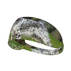 Setter inglese animali usato  Spedito ovunque in Italia 