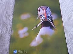 Rspa magazine birds for sale  Delivered anywhere in UK