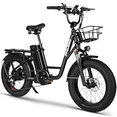 Wakewheel electric bike for sale  Delivered anywhere in USA 