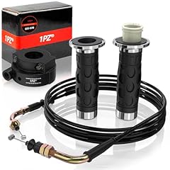 1pz gs1 s78 for sale  Delivered anywhere in USA 