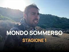 Sommerso usato  Spedito ovunque in Italia 