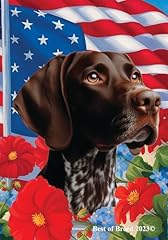 German shorthair pointer for sale  Delivered anywhere in USA 