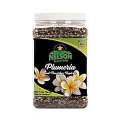 Nelson plumeria plant for sale  Delivered anywhere in USA 