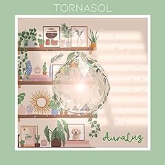 Tornasol for sale  Delivered anywhere in USA 