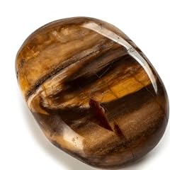 Kalifano petrified wood for sale  Delivered anywhere in USA 