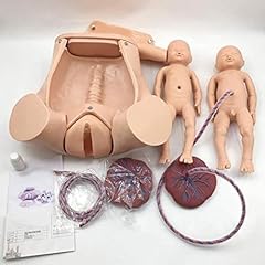 Anatomy childbirth simulator for sale  Delivered anywhere in USA 