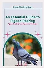 Essential guide pigeon d'occasion  Livré partout en France