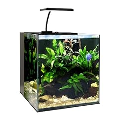 Swell aquarium fish for sale  Delivered anywhere in UK