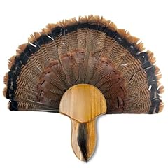 Turkey fan mount for sale  Delivered anywhere in USA 