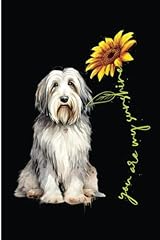 Bearded collie sunshine for sale  Delivered anywhere in UK