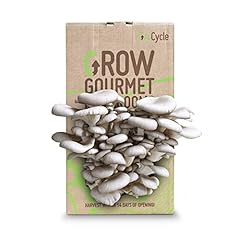 Grocycle oyster mushroom for sale  Delivered anywhere in Ireland