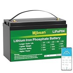 Mjbsan batteria lifepo4 usato  Spedito ovunque in Italia 