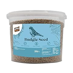 Extra select budgie for sale  Delivered anywhere in UK