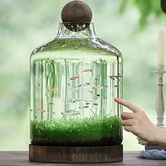 Meglob glass aquarium for sale  Delivered anywhere in USA 