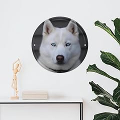 Blue eyed white for sale  Delivered anywhere in USA 