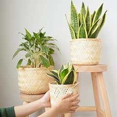 Chi home set for sale  Delivered anywhere in USA 