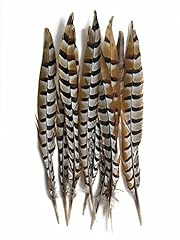 Pheasant feathers reeves for sale  Delivered anywhere in USA 