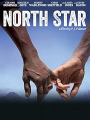 North star usato  Spedito ovunque in Italia 