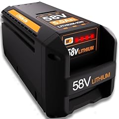 Powitec 58v 5.0ah for sale  Delivered anywhere in USA 