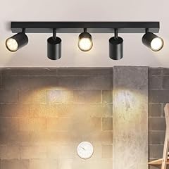 Homefire led deckenstrahler gebraucht kaufen  Wird an jeden Ort in Deutschland