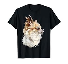 Long haired chihuahua for sale  Delivered anywhere in USA 