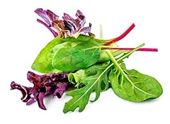 Lettuce spring mix for sale  Delivered anywhere in USA 