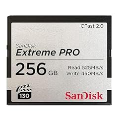 Sandisk 71931 256gb for sale  Delivered anywhere in USA 