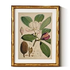Insimsea gold bamboo for sale  Delivered anywhere in USA 
