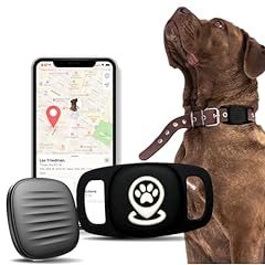 Gbvp dog tracker for sale  Delivered anywhere in USA 