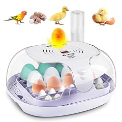Egg incubator eggs for sale  Delivered anywhere in Ireland
