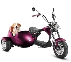 Eahora m1p sidecar for sale  Delivered anywhere in USA 