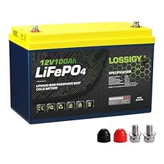 Lossigy 12v 100ah for sale  Delivered anywhere in USA 