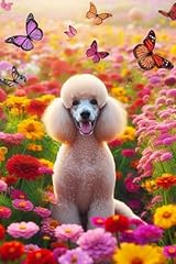 Standard poodle field for sale  Delivered anywhere in UK