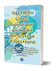 Iso 19011 linee usato  Spedito ovunque in Italia 