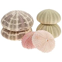 Warmhm lot pots d'occasion  Livré partout en France