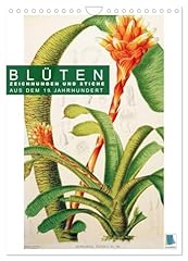 Blüten zeichnungen stiche gebraucht kaufen  Wird an jeden Ort in Deutschland